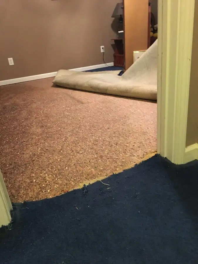 Carpet pad removal revealing water damage during Water Mitigation Services in Pasco
