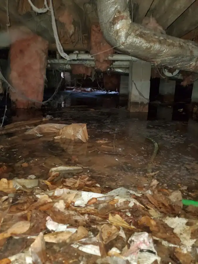 Crawl space flood assessment for Leak Detection & Repair in Pasco