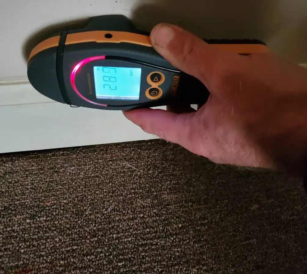 Moisture detection at baseboard during Burst Pipe Cleanup in Pasco